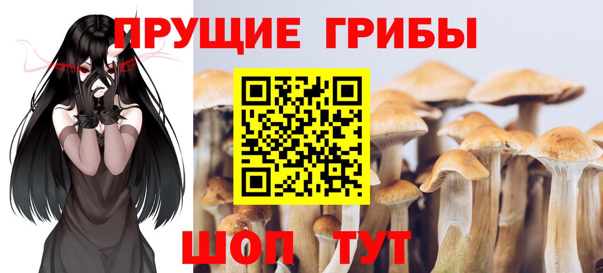 Галлюциногенные грибы Psilocybe  Вход с VPN  Псилоцибиновые грибы прущие грибы  Лабинск 