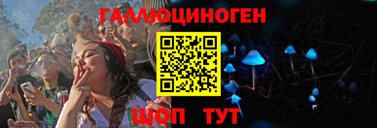 Псилоцибиновые грибы Psilocybe Лабинск